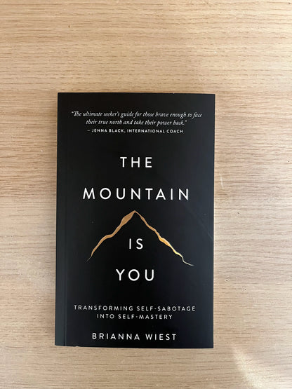 The Mountain Is You- Brianna Wiest